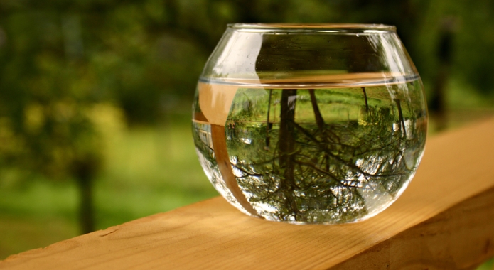 pohár vody v lese